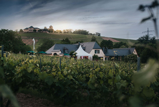 Blick auf Schloss Johannisberg © Hannah Meinhardt